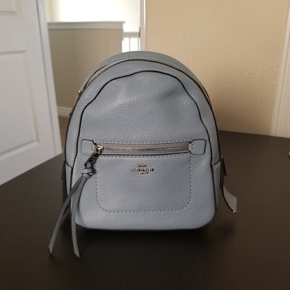 Coach Leather Mini Backpack